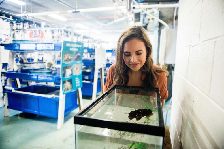 Alex-Schnell-With-Cuttlefish-Tank-777×519-1