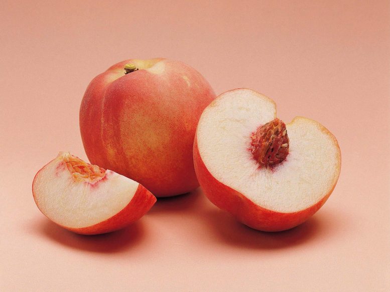 Peaches-777×583-1