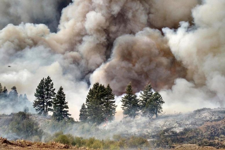 Wildfire-Smoke-COVID-19-777×519-1