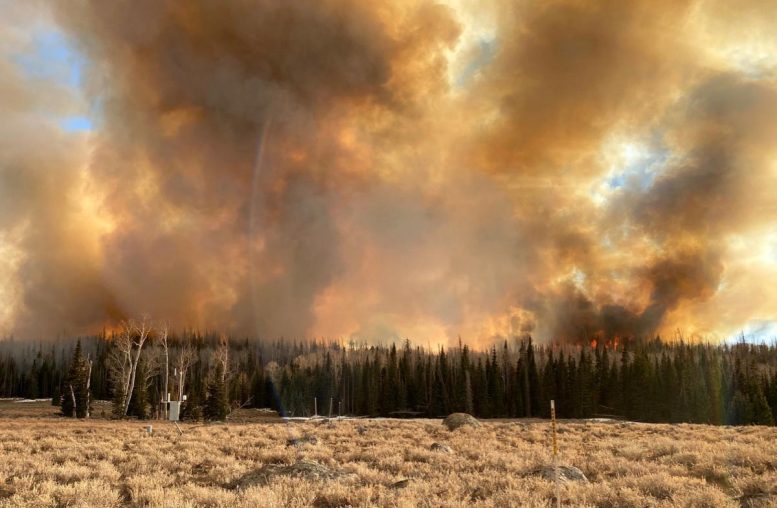 Wildfire-Smoke-COVID-777×508-1