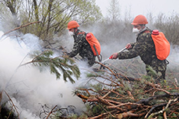 Wildfires-are-threatening-communities-in-the-European-Region-250x