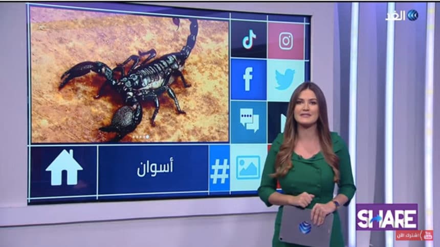 scorpios Egypt