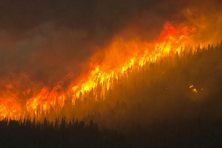 Intense-Wildfire-777×518-1
