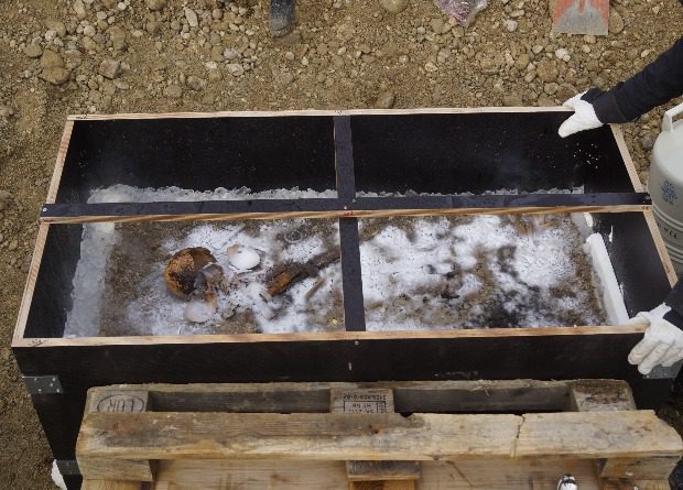 German archaeologists froze a medieval children’s burial with a dog with liquid nitrogen