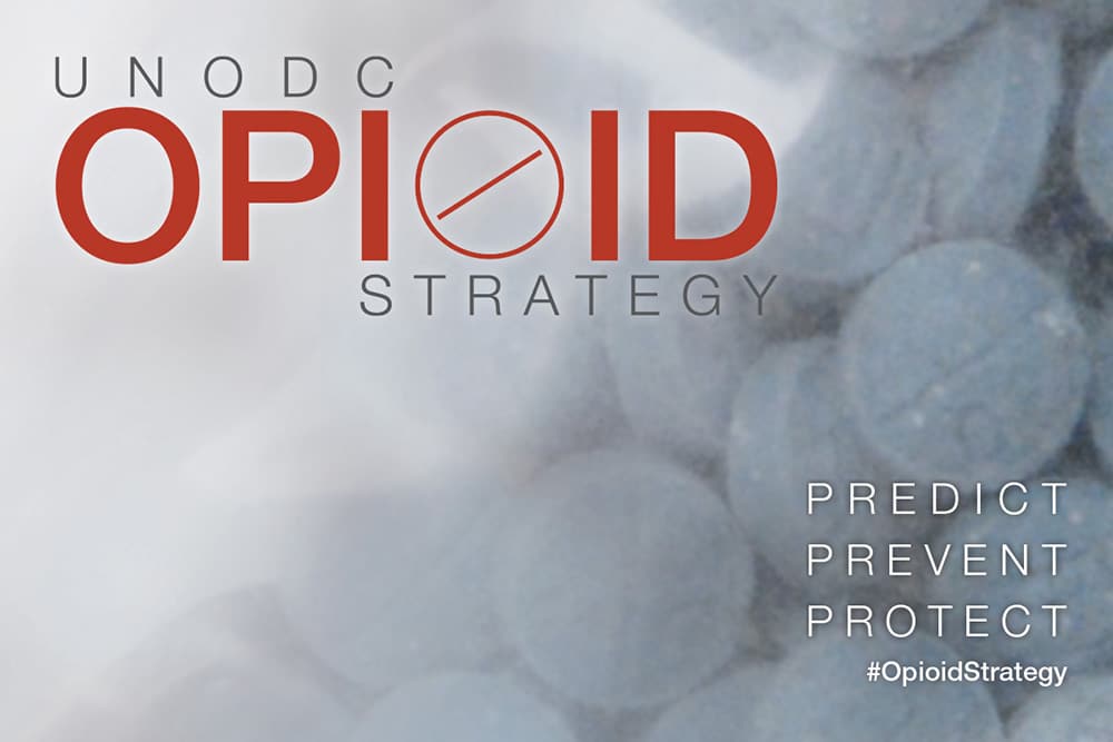 UNODC discuss support for mothers and infants exposed prenatally to synthetic drugs