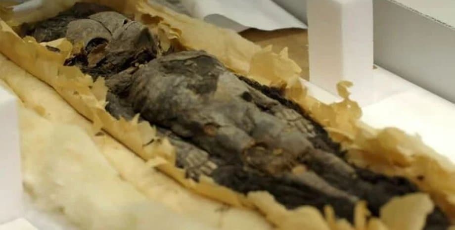 To accompany their father in the underworld. Archaeologists find remains of Tutankhamun’s children