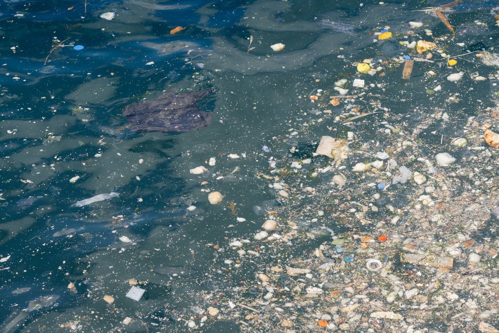 Treaty against plastic pollution, a timid victory