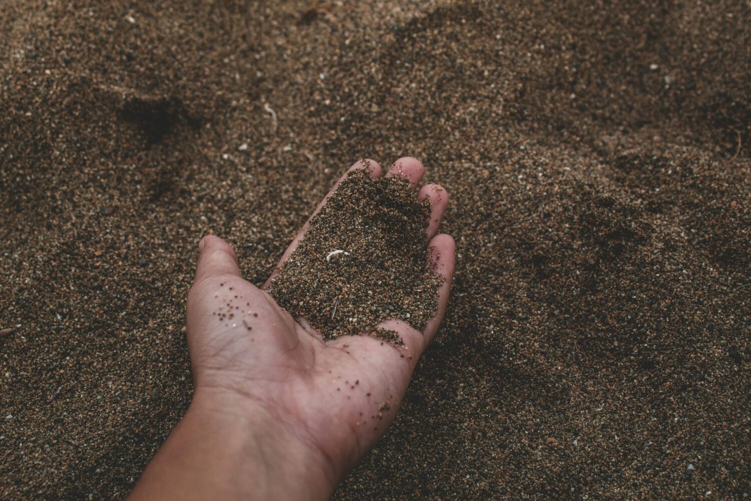 The sounds of the soil makes reveal the secrets of biodiversity