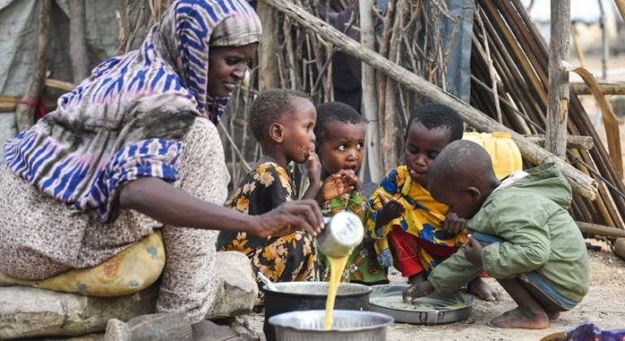 Drought and dire hunger loom in Somalia, warns UN food agency WFP