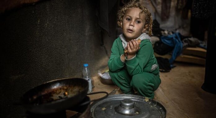 Gaza aid crisis deepens as border closure stretches into 50th day