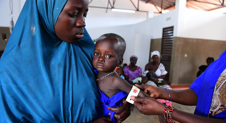 More than 50 million in West and Central Africa at risk of hunger