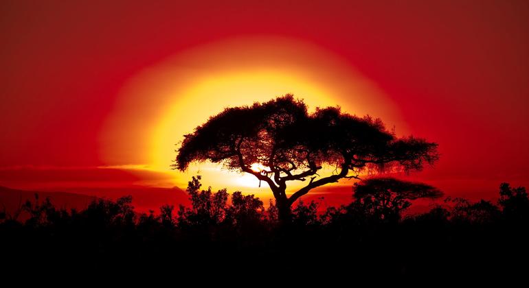 Climate change takes increasingly extreme toll on African countries
