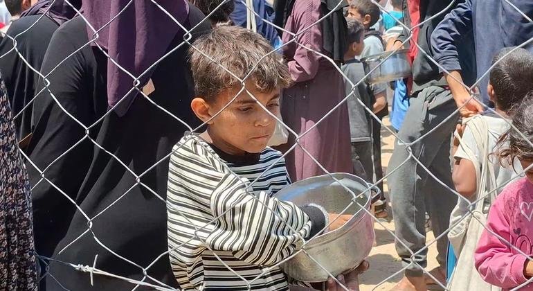 ‘Stop the 21st century atrocity’ in Gaza, Fletcher urges UN Security Council