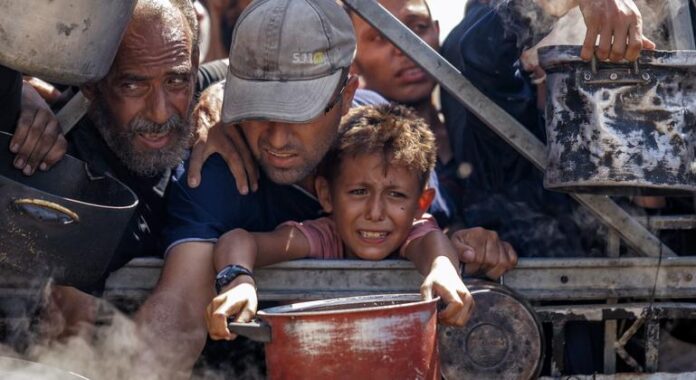 Gaza First Person: ‘The best of humankind in a place abandoned by humanity’