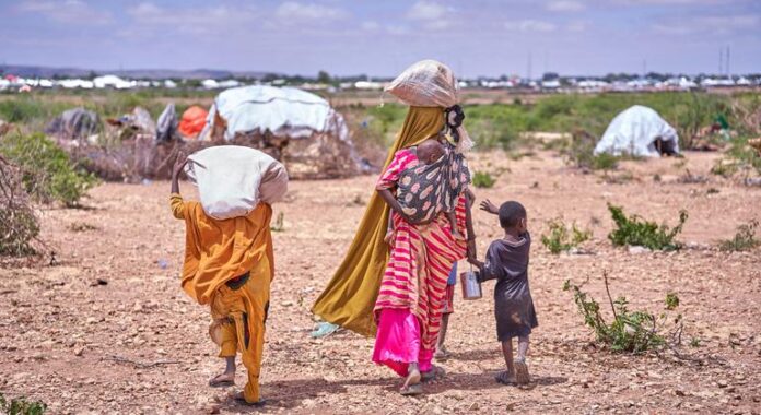 World News in Brief: Violence in Somalia, cholera in Haiti, tax support for sustainable development