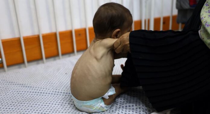 Gaza: ‘No one should ever be forced to risk their life to find food,’ says UN humanitarian agency