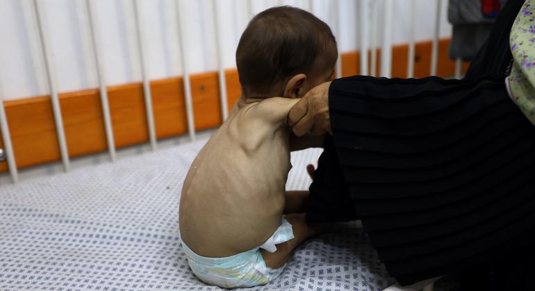 Gaza: ‘No one should ever be forced to risk their life to find food,’ says UN humanitarian agency