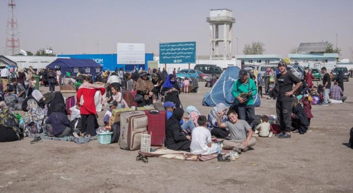 Afghan women returnees face rising risks, UN warns