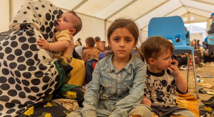 ‘The real challenge is still ahead’: UN warns on Afghan returnees