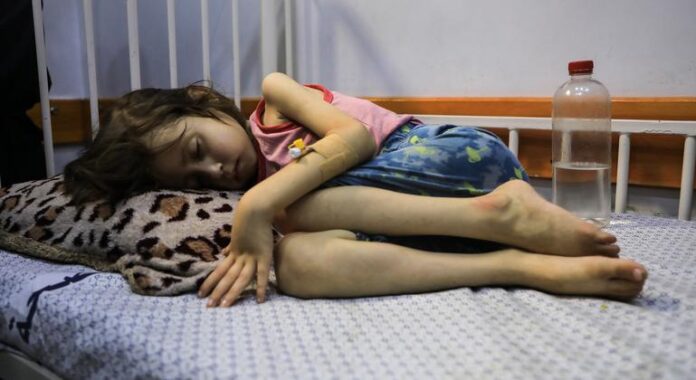 Famine in Gaza: ‘A failure of humanity itself’, says UN chief