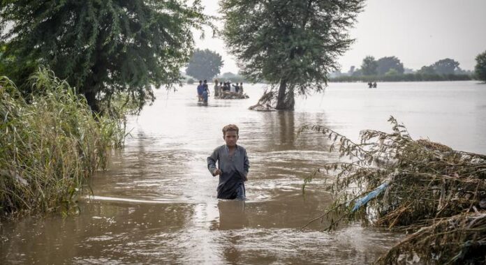 1758085772_image770x420cropped.jpg ‘The needs are huge’: Pakistan reels from floods as millions left homeless