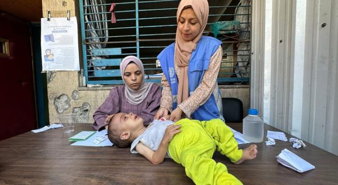 Gaza: Top independent rights probe alleges Israel committed genocide