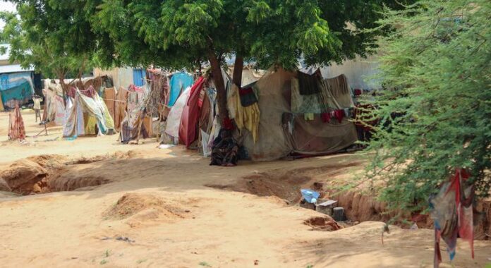 1760037979_image770x420cropped.jpg Sudan: El Fasher mosque and hospital attacks leave at least 20 dead