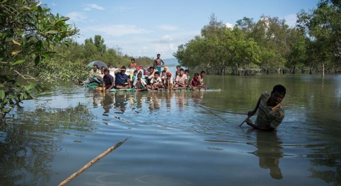 World News in Brief: Refugee boat tragedy in Andaman Sea, Gaza vaccinations, farmers’ lending scheme