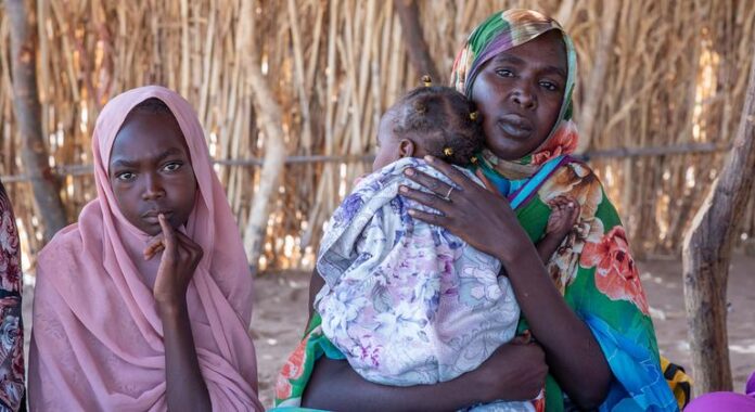 Sudan war: Women endure starvation, rape and bombs fleeing El Fasher