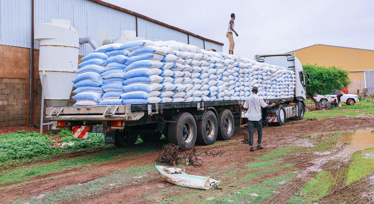 World News in Brief: Food insecurity triples, Mozambique aid boost, Uganda elections alert