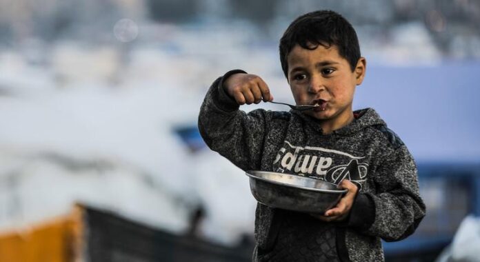 Gaza: Access to food improves but living conditions remain dire