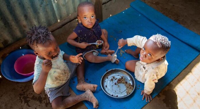 World News in Brief: Ending famine, refugee solidarity in Kenya, Ukraine civilian casualties update