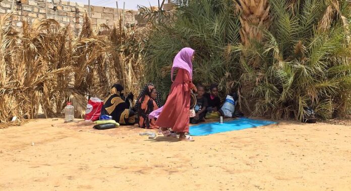 World News in Brief: Food insecurity in Lebanon, Libya migrants freed, UNHCR tackles multiple emergencies – despite cuts