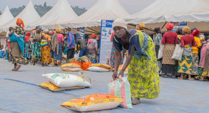 1769658702_image770x420cropped.jpg World News in Brief: UN Support Office in Haiti, Goodwill Ambassador Theo James in Syria, urgent appeal for millions in DR Congo
