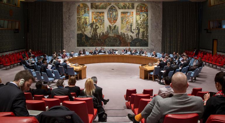 Security Council LIVE: Sudan in focus amid genocide warnings in Darfur