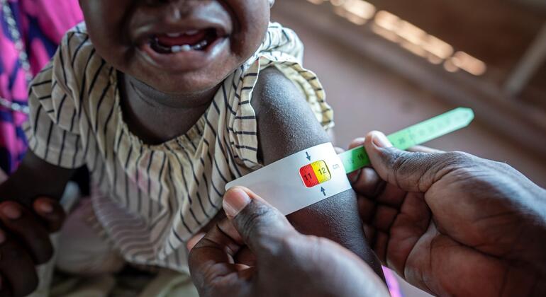 Two-thirds of global hunger concentrated in 10 conflict-hit countries