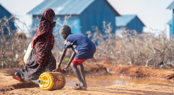 1778873900_image770x420cropped.jpg Somalia at ‘real risk of famine’ as Middle East war fallout continues