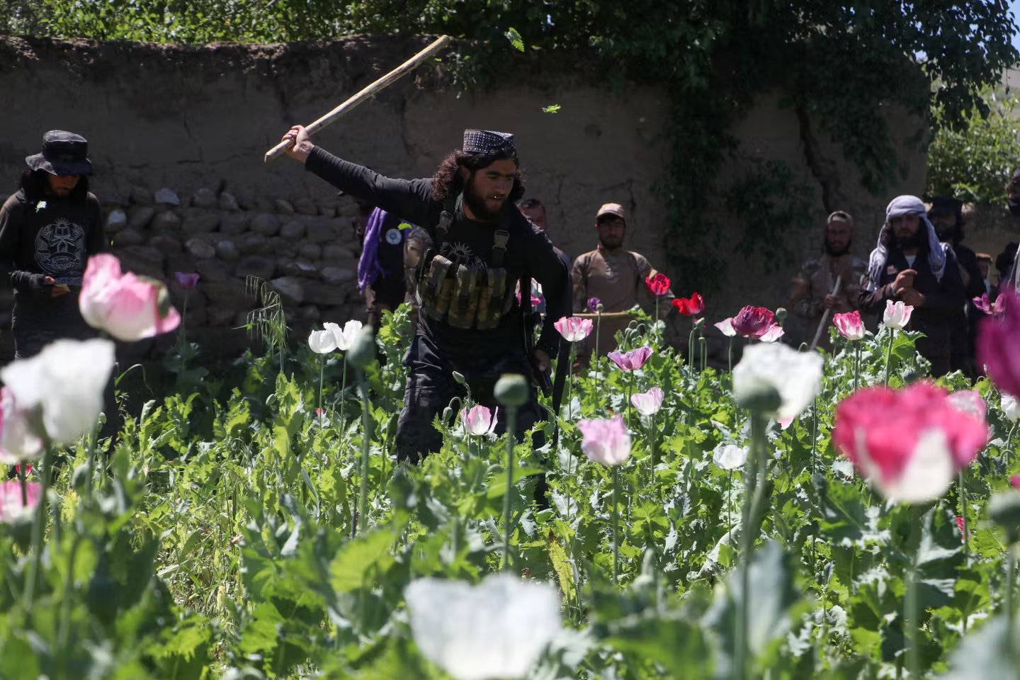 “In Afghanistan as elsewhere, stories of drugs are also stories of power and society”
