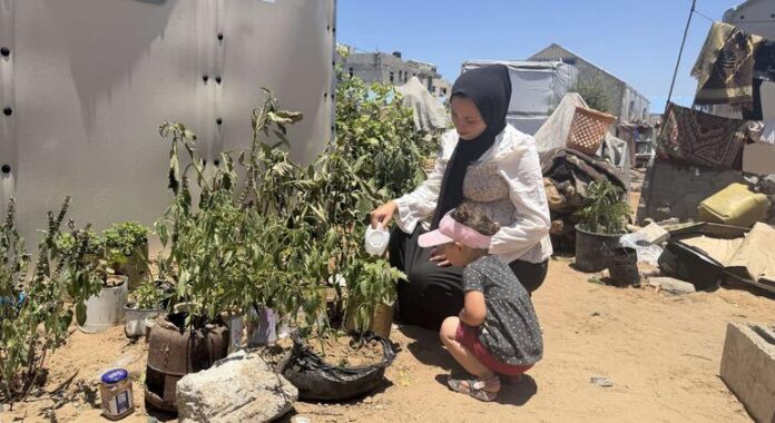 Reviving communities home by home in Gaza Reviving communities home by home in Gaza