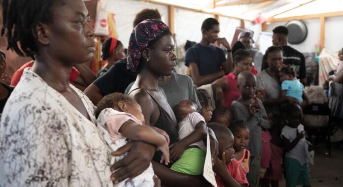 LIVE: Haiti endures violence and hunger, but hopes grow for a more secure future LIVE: Haiti endures violence and hunger, but hopes grow for a more secure future