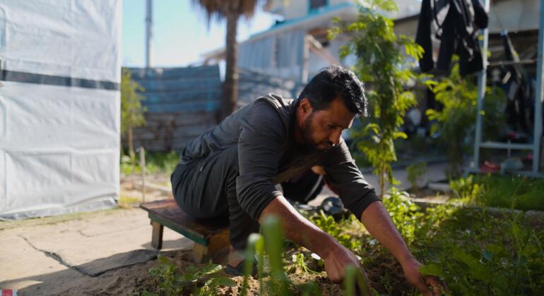 Gaza: Children still at risk despite drop in acute hunger