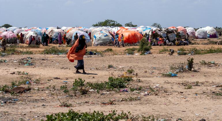 In Somalia, AI is helping deliver food to hungry families