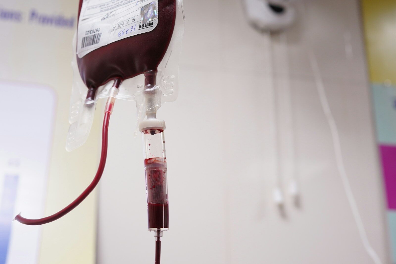 Jehovah’s Witnesses Make Blood Components a Matter of Conscience – The European Times