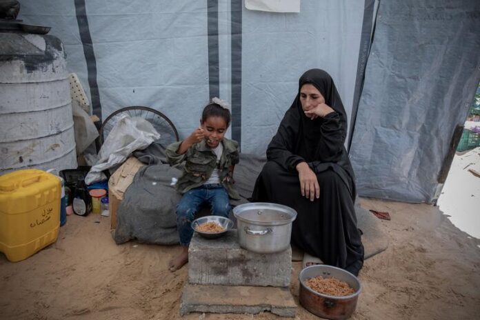 In Gaza, women-headed households face ‘impossible choices’ to survive In Gaza, women-headed households face ‘impossible choices’ to survive