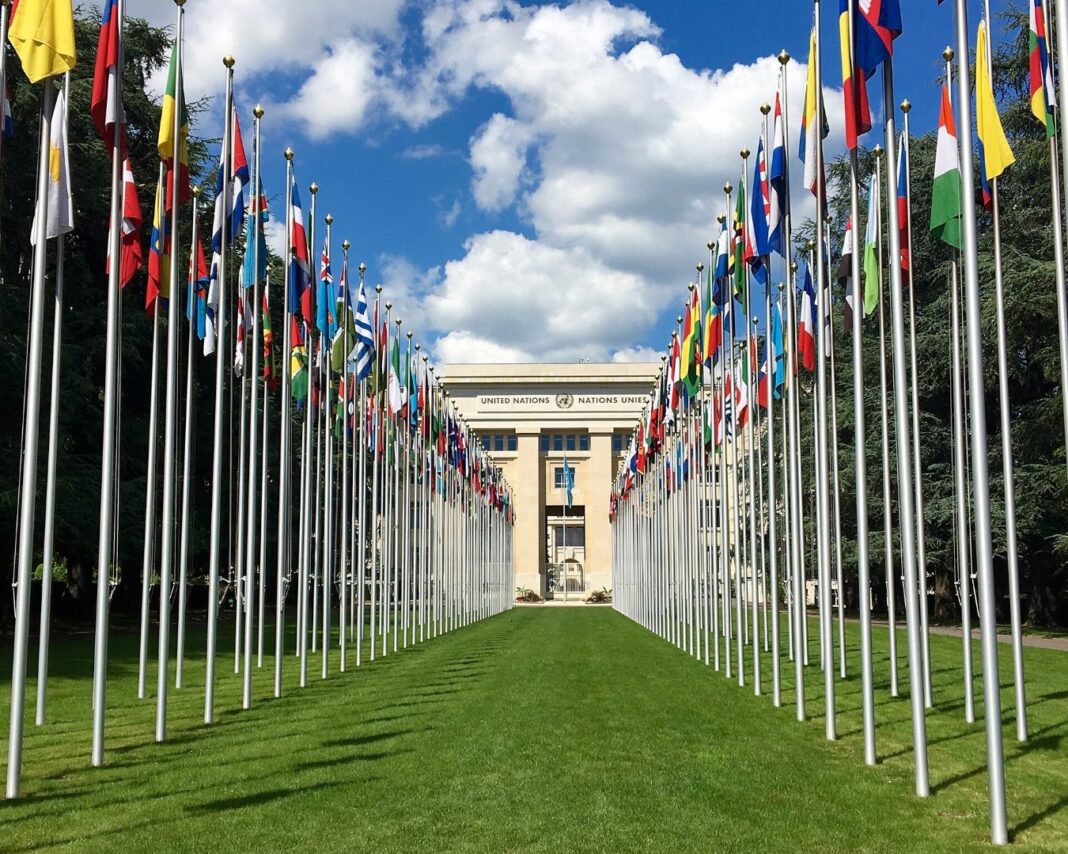 Belgium’s human rights review is now official — what do 300 UN recommendations actually say?