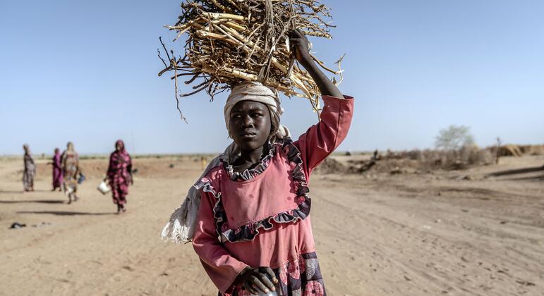 Darfur: Healthcare needs outstrip resources as Security Council extends Sudan sanctions