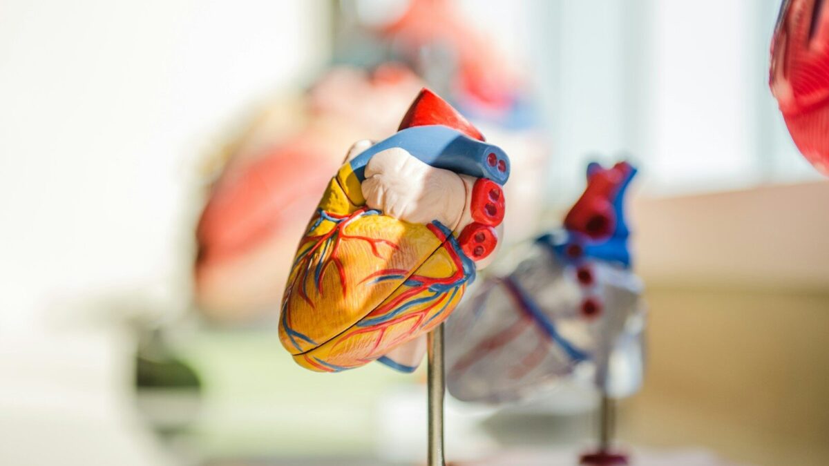JACARDI – Reducing the burden of cardiovascular diseases (CVDs) and diabetes