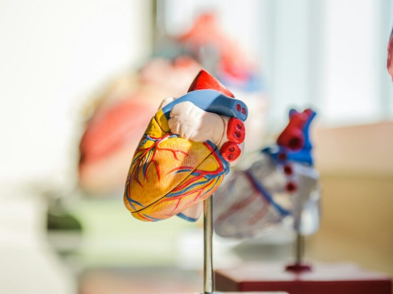 JACARDI – Reducing the burden of cardiovascular diseases (CVDs) and diabetes