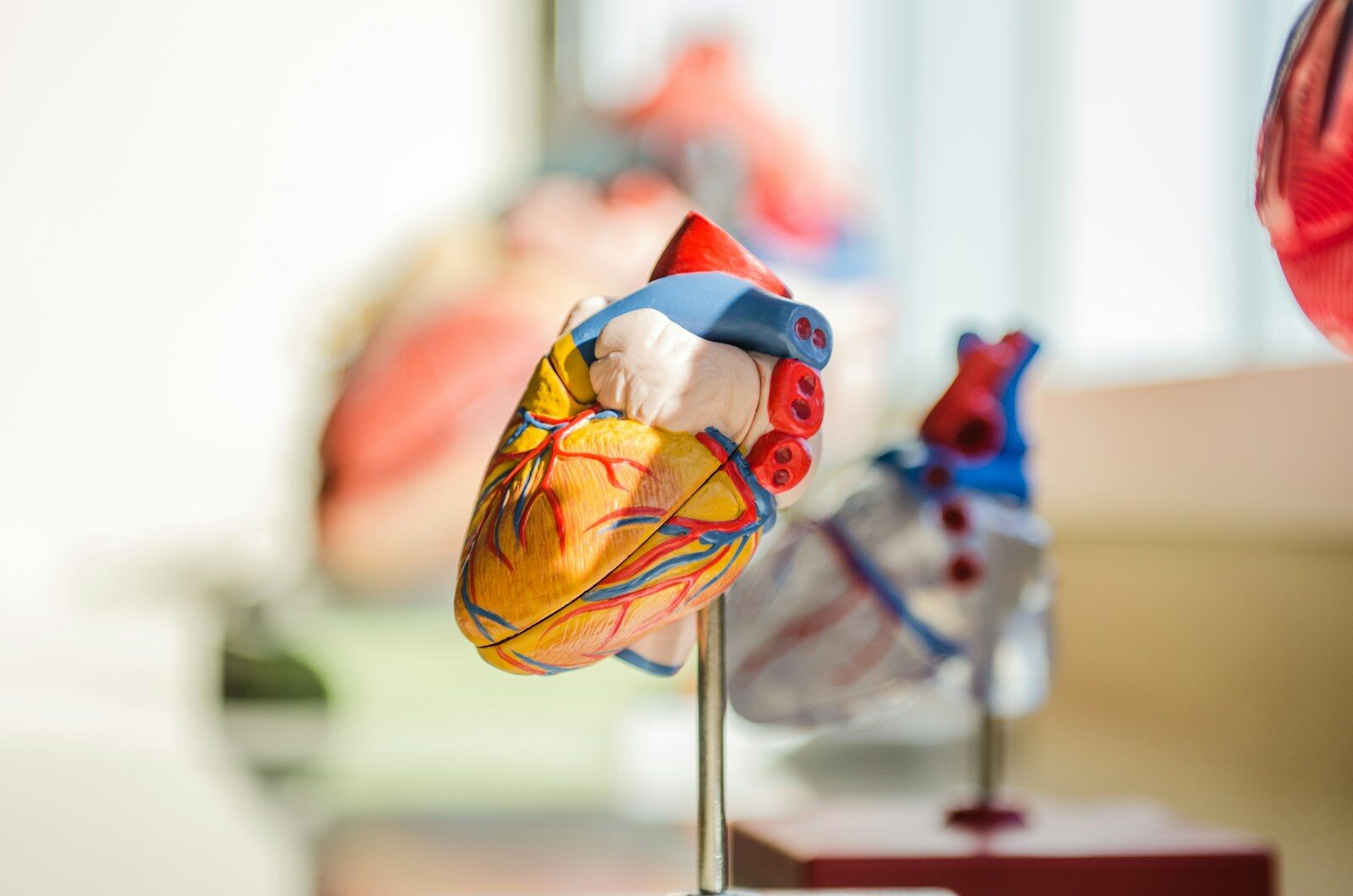 JACARDI – Reducing the burden of cardiovascular diseases (CVDs) and diabetes